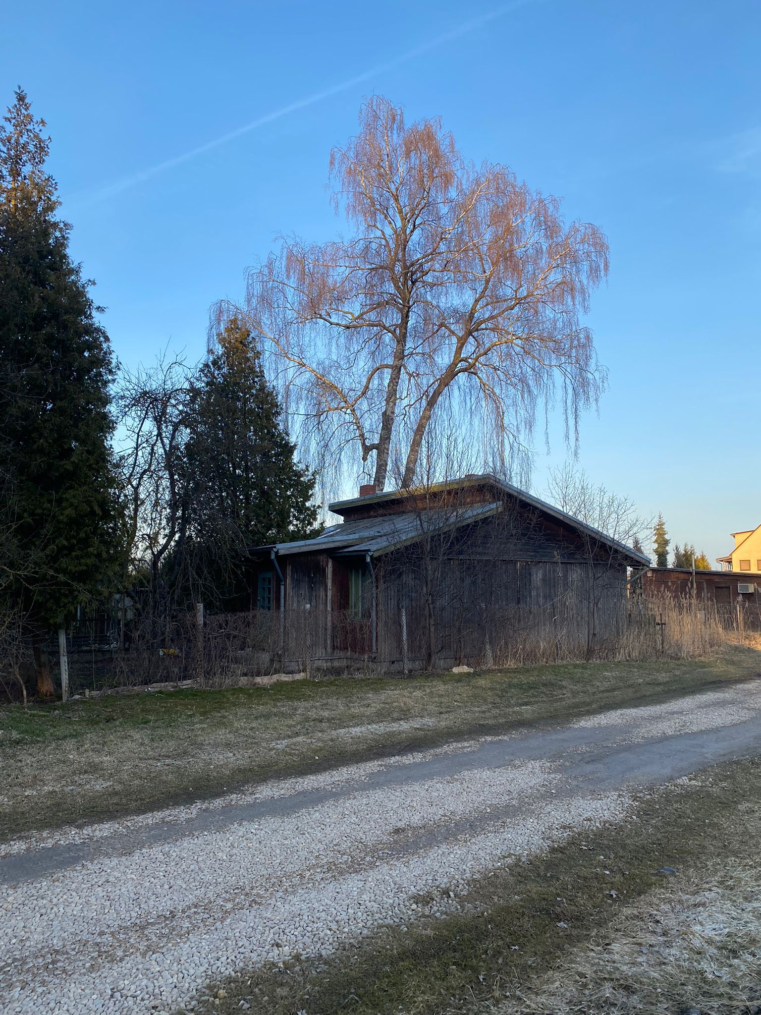 Koka ēkas demontāža Mangaļsalā ar CAT 444
